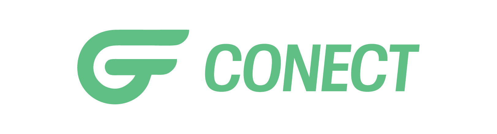 GF Conect